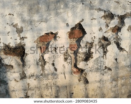Front view and full-frame shot of an old weathered white concrete wall with peeling plaster, revealing ancient red bricks and rough cement structure underneath