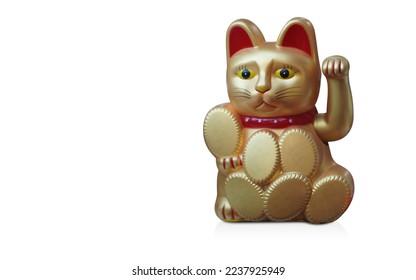  front view gold lucky cat sitting   holding white background  object  religion  animal  decor  gift  copy space