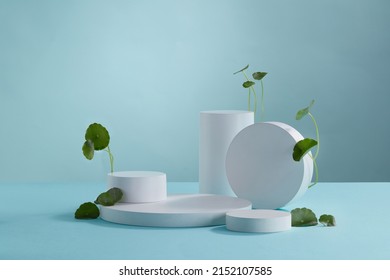 Front view of gotu kola decorated with white podium in blue background 