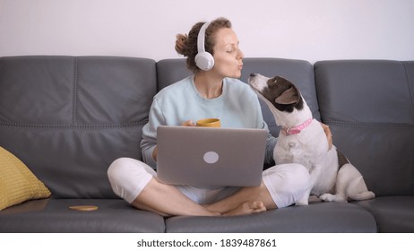 あいぶ の画像 写真素材 ベクター画像 Shutterstock