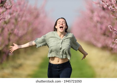Front view of a happy woman running towards camera celebrating vacation in a pink flowered field in spring - Shutterstock ID 1945721050