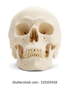 Front view of the human skull isolated on white background.