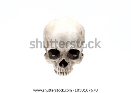 Front view of human skull isolated on white. Symbol of horror and death. Clipping path