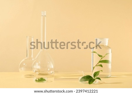 Front view of lab equipment decorated with green tea leaves on beige background. Laboratory concept with blank space on glass podium for cosmetic presentation. Advertising photo, space for design