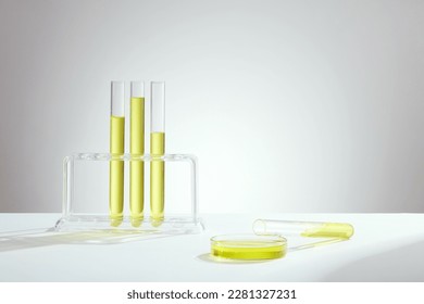 Front view of laboratory equipment filled with yellow liquid in tests tube and petri dish on light background. Lab theme. Science and medical background - Powered by Shutterstock