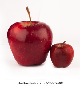front view of large red apple next to a small one isolated on white background - Shutterstock ID 515509699
