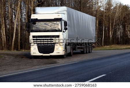 Front view of large white DAF XF tractor unit pulling gray curtainside trailer. Vehicle parked on dirt shoulder of paved road, bare trees line background. Low light conditions indicate early morning or late afternoon.