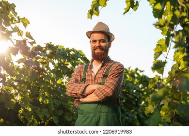 Front View Looking At Camera Happy Smile Of A Young Male Winemaker Farmer With His Arms Crossed Against A Cloudless Sky And A Green Vine. Winemaker Worker Stands In His Field And Enjoys His Work.