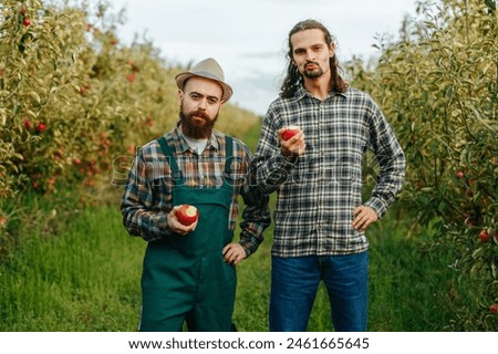 Front view looking at camera two male farmer in sync throw apple up hand then catch bite other hand on hips. Agronomy worker mustache beard happy and satisfied. Large apple orchard rich harvest.