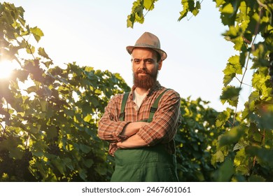 Front view looking at camera young man winemaker farmer worker stand vineyard arms crossed on chest smile. Man has hat on head, happy face, a lot of greenery around and a blinding sun. Copy space.