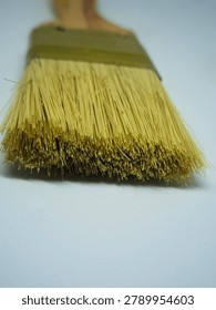 Front view macro shot of a flat paint brush head showcasing the vertical bristle fibers.