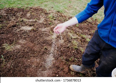 Front View Of Man Spreading Grass Seed On Soil In Garden