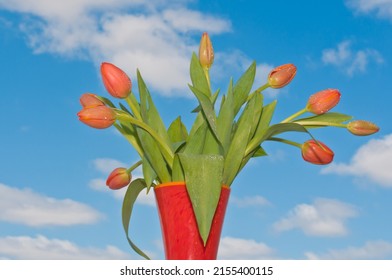 front view, medium distance, of a group of long stem, peach colored tulip buds with green leaves in an orange, ceramic vase, against a tropical, blue sky