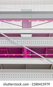 Front View Of A New Vertical Farming System With Illuminated Led Lights