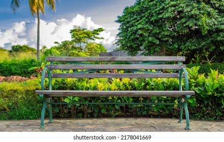 Front view of a nice wooden bench surrounded by plants with copy space. A wooden bench in a park at sunset, front view of a wooden bench with sky and clouds in the background