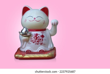  front view old white   red lucky smile cat standing   holding pink background  object  religion  animal  decor  gift  copy space