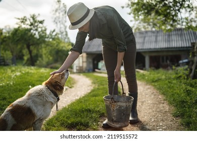 Front view of one young adult woman female farmer petting her dog at the farm in sunny day or evening real people copy space farm life concept - Shutterstock ID 2119515572