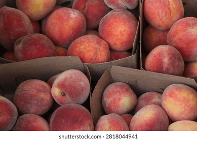 Front view of paper boxes filled with fresh peaches for sale
