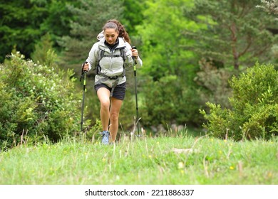 Front view portrait of a hiker walking towards you in a forest