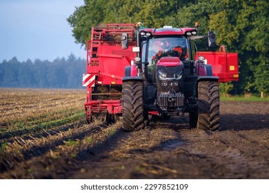 Front view of a red Caseiii tractor harvesting potatoes on a farmfield with trees in the background on a sunny day.