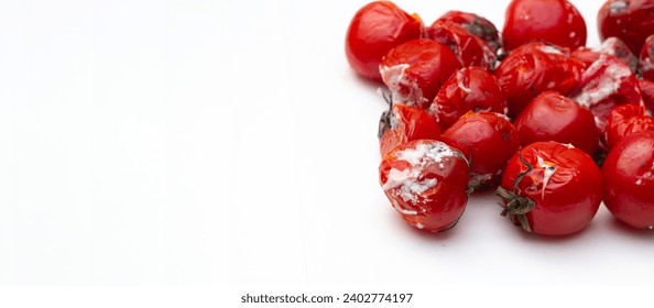 Front view. Red rotten cherry tomato with mold, isolated on white background. Concept of healthy food, trash, garbage, spoiled product, autumn, fall, poor, diet. Copy space for text. Horizontal banner