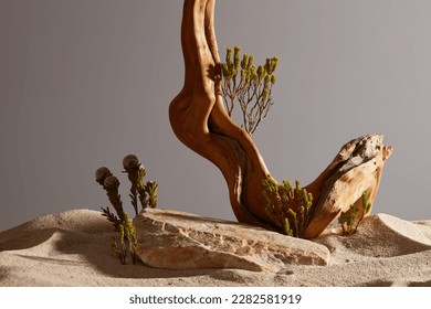 Front view of rock, dry twig, small green tree and sand desert on dark brown. Empty rock as platform for display product. Natural beauty concept, minimal background. - Shutterstock ID 2282581919