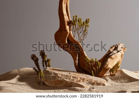 Front view of rock, dry twig, small green tree and sand desert on dark brown. Empty rock as platform for display product. Natural beauty concept, minimal background.