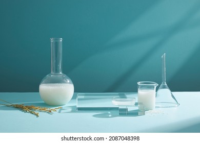 Front view of scientist working with chemical reaction in chemistry laboratory wheat and rice in transparent test tube and blue blackground with blank space for advertising 