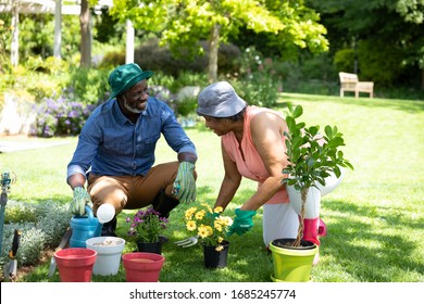 Front View Of Senior African American Couple In The Garden, Gardening And Talking. Family Enjoying Time At Home, Lifestyle Concept