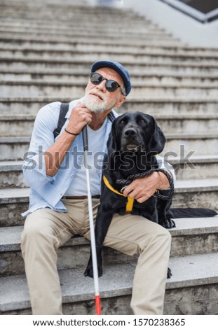 Similar – Image, Stock Photo Man with dog Town