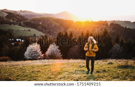 Similar – Image, Stock Photo beautiful caucasian woman walking with her cute brown poodle on the road. Pets and lifestyle outdoors