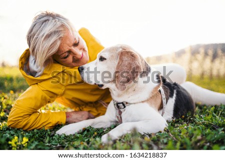 Similar – Image, Stock Photo walk Pet Dog 1 Animal Jump