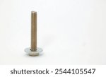 Front view in standing position of a washer attached to a bolt on a white background. Component part of mechanical or woodworking.