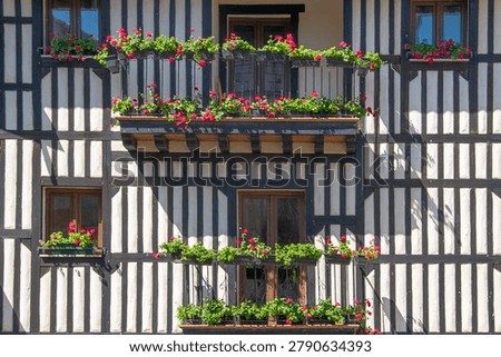 | Front view of timber framed facade decorated with colorful flower boxes in traditional village architecture of La Alberca Salamanca Spain