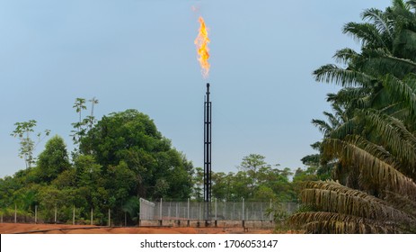 Front view of tower of a natural gas well in production burning gas on top in the middle of the jungle
