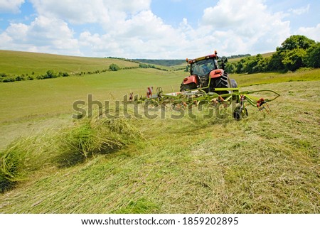 Similar – Image, Stock Photo Dry grasses in autumn. Brown colours and sad mood.