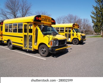 Front View Of Two Short Yellow School Buses