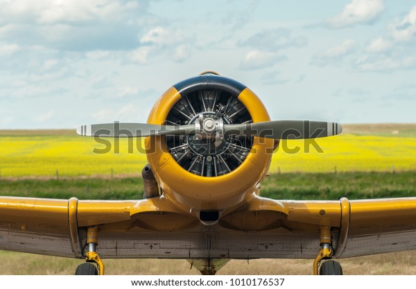 Front View Yellow Single Engine Propeller Stock Photo (Edit Now) 1010176537