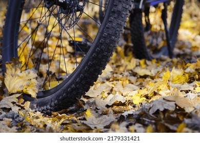 front wheel of a mountain bike. Mountain bike. stands in the forest, in dry autumn leaves. concept of cycling, repair or breakage, sports, outdoor activities. bike on trail, front wheel in focus.