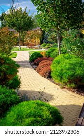 Front Yard, Landscape Design With Multicolored Shrubs Intersecting With Bright Green Lawns Behind The House Is A Modern, Garden Care Service, Green Grass With A Beautiful Yard For The Background.