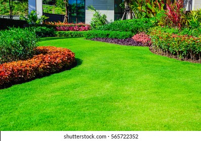 Front yard, landscape design With multicolored shrubs intersecting with bright green lawns Behind the house is a modern, garden care service, green grass with a beautiful yard for the background. - Shutterstock ID 565722352