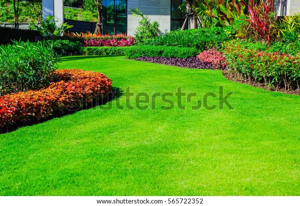 Front yard, landscape design With\
multicolored shrubs intersecting with bright green lawns Behind the\
house is a modern, garden care service, green grass with a\
beautiful yard for the\
background.