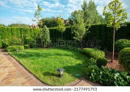 Front yard -part of  garden - near prosperous dacha in Belgian village . Behind - rose bushes   and in right -  fence from plants (thuijas)  in Moscow oblast
