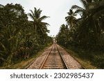 Frontal view of the old railway tracks going through the dense green jungle of Sri Lanka. Landscape with Cast Iron Railroad. Dark symmetrical palm forest.