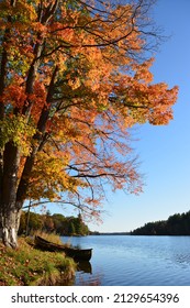 Frontenac Provincial Park In Autumn, Ontario, Canada. 