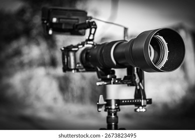 Front-facing view of professional camera mounted on tripod, photographed in daylight with blurred natural background
