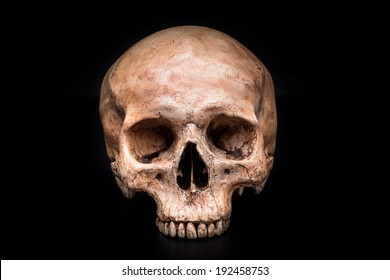 frontview of human skull on isolated black background