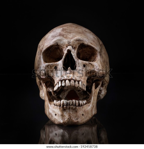分離型黒い背景に人間の頭蓋骨開口部の正面図 の写真素材 今すぐ編集