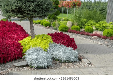 Frontyard with Paver Walkway. Beautiful Garden path made of natural stones, gravel. Huge landscaping trend. Lawn, shrubbery in the backyard. Scenic of nice landscaped. Home design. Garage driveway - Shutterstock ID 2361496003