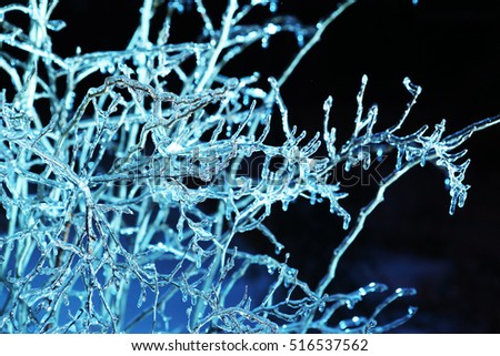 frosen icicles on tree branches night sceen close up picture
